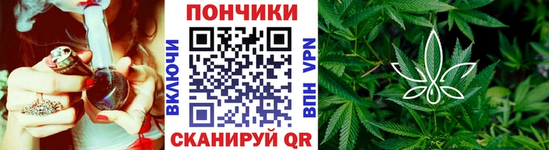 где купить наркоту  Северская  Бошки марихуана AK-47 